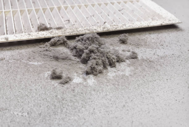 Best Affordable Duct Cleaning Services  in Zilwaukee, MI